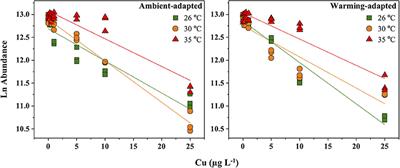 Adaptation of Red Sea Phytoplankton to Experimental Warming Increases Their Tolerance to Toxic Metal Exposure